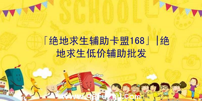 「绝地求生辅助卡盟168」|绝地求生低价辅助批发